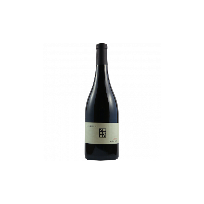 Tinto Ensamble Colina 750 ml